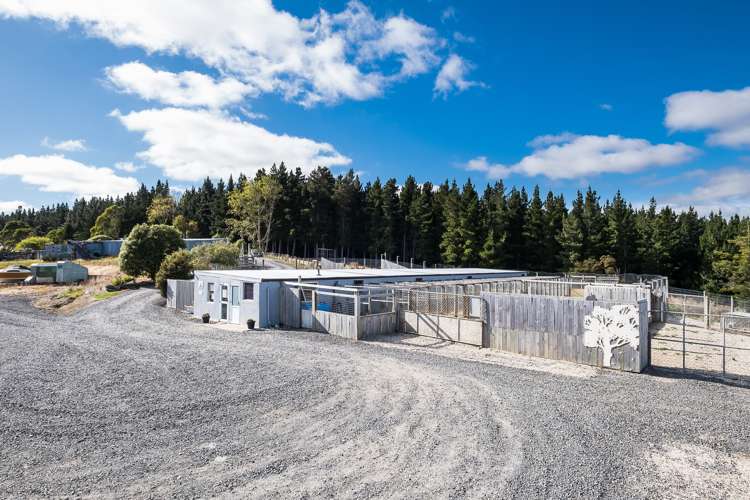 251 Fletcher Road Milton_22