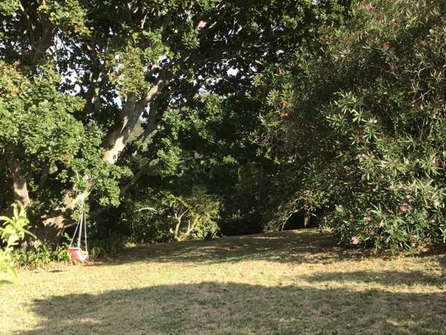 27 Scott Road Tamaterau_1