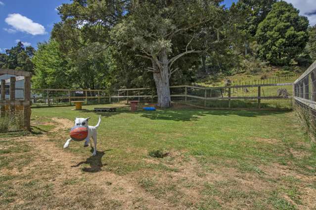770 State Highway 1 Kauri_1
