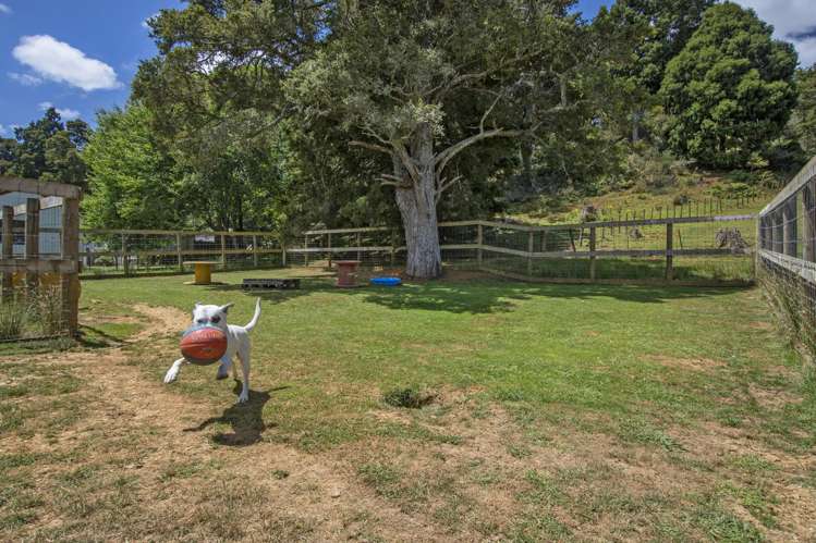 770 State Highway 1 Kauri_1