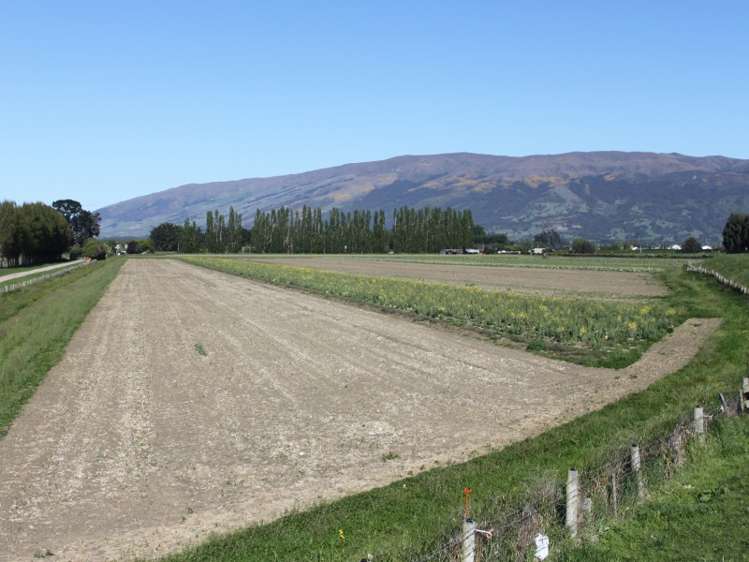 498 Allanton Road Outram_5