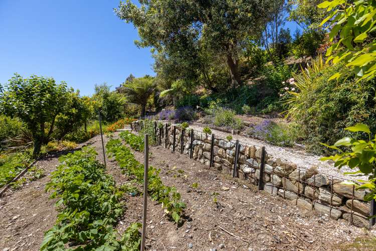 784 Queen Charlotte Drive Havelock_25