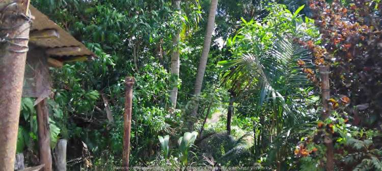 Address withheld Labasa_28