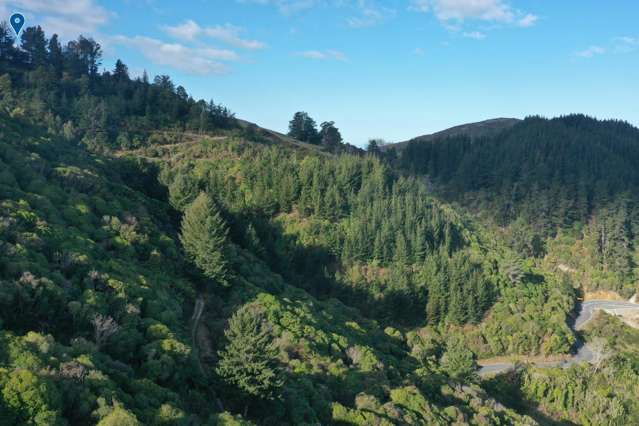 Takaka Hill Takaka Hill_2