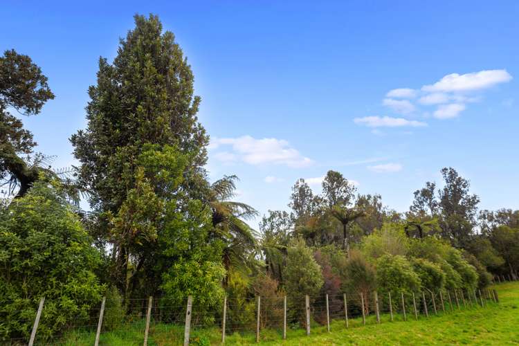 9 Betty May Drive Pyes Pa_30