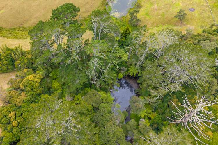 71 Mahana Road Waimauku_15