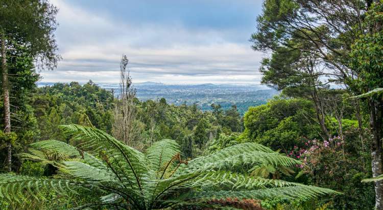 408a Scenic Drive Waiatarua_7