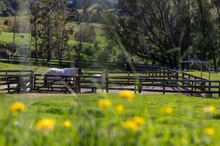 35 Joblin Road Wainui_15