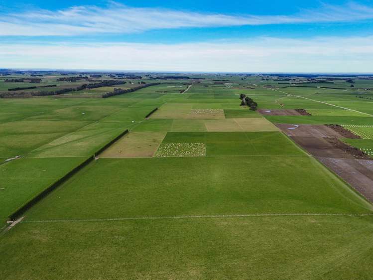 677 Waituna Road Wyndham Surrounds_6