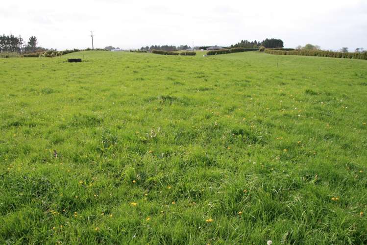 2105 Hastings Road Mahoe_23