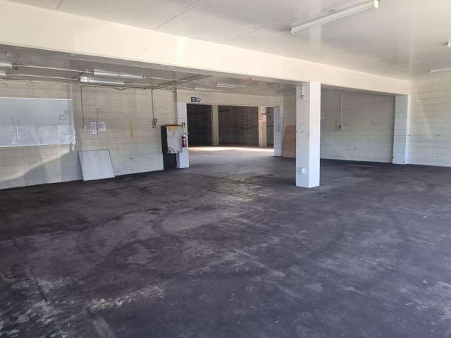 2 Cornish street Petone_4