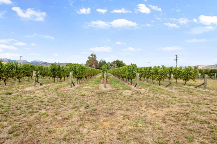 748 Waihopai Valley Road Waihopai Valley_5