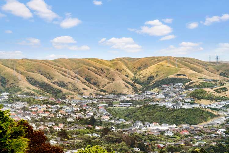 30 Carluke Street Paparangi_17