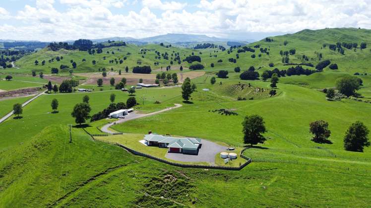 331 Burnand Road Manunui_22