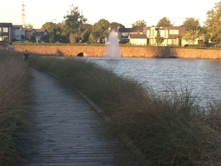 10 Costa Viva Crescent Karaka_10