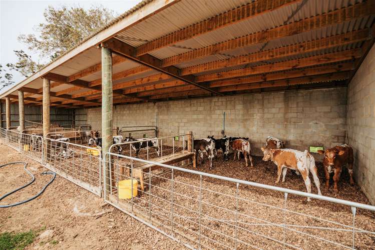 101 Logan Road Owaka Valley_12