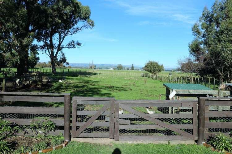 3330 State Highway 2 Carterton_4