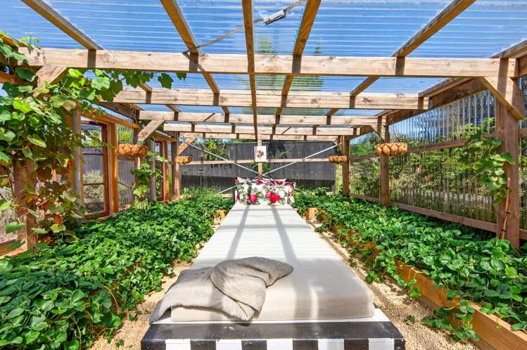 27 Vineyard Lane Martinborough_21