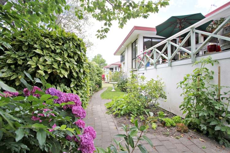 33a White Street Taradale_16