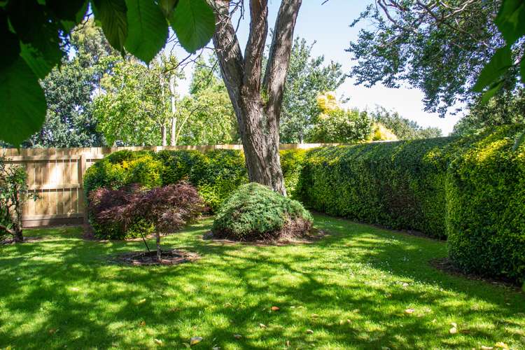 8 Iorns Street Masterton_10