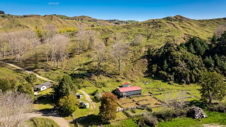 56 Nilsson Road Elsthorpe_1