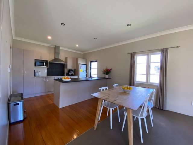 24 Nixon Street Hamilton East_2