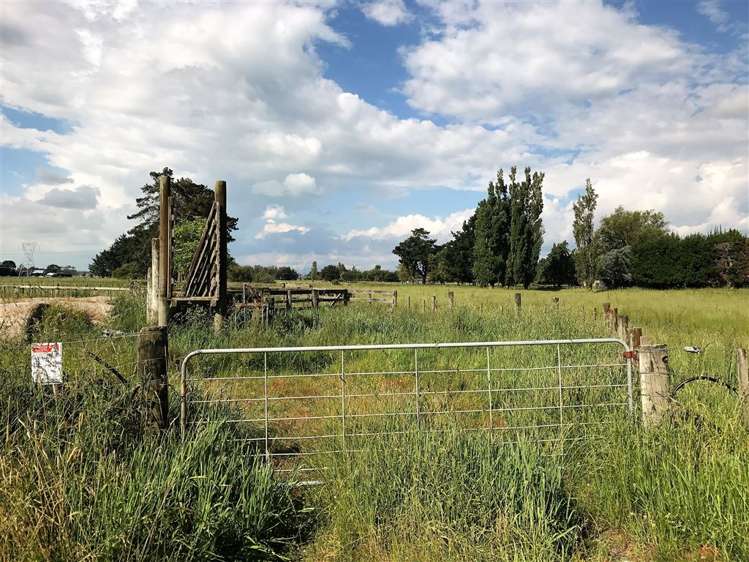 51 Eggletons Road Bunnythorpe_13