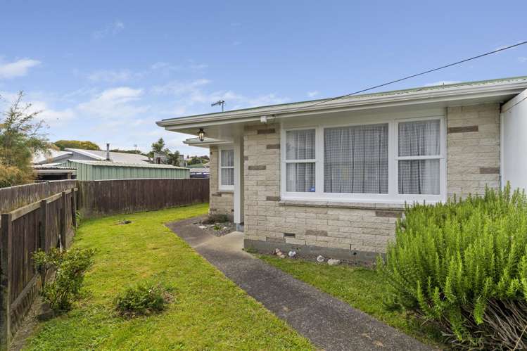 3 Alice Place Levin_14