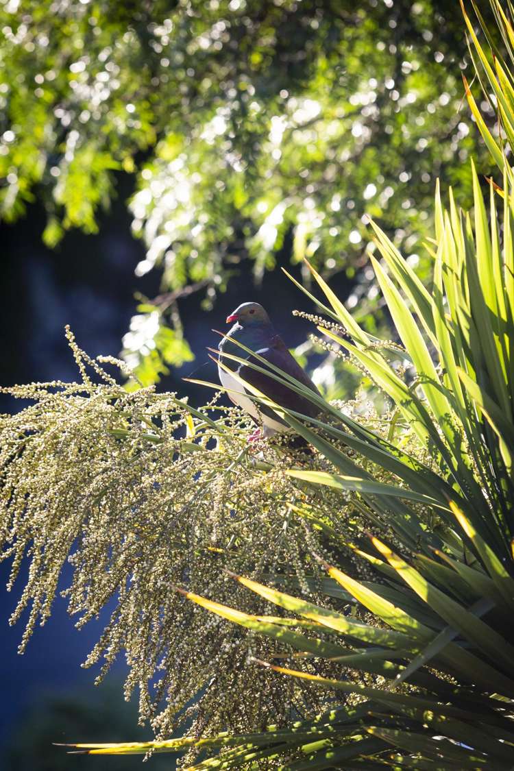 28 Valley Road Cashmere_8