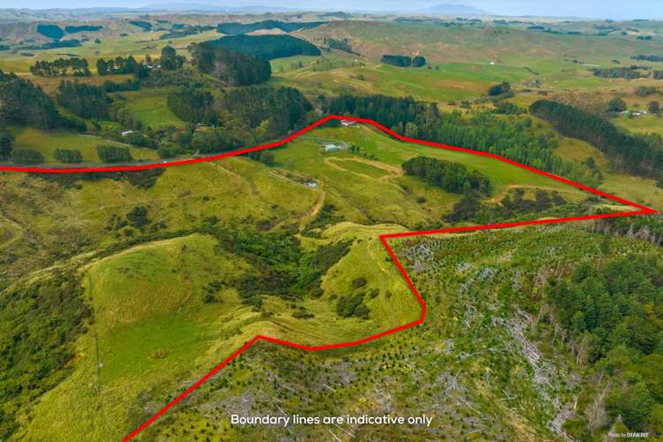 878 Waikaretu Valley Road Glen Murray_16