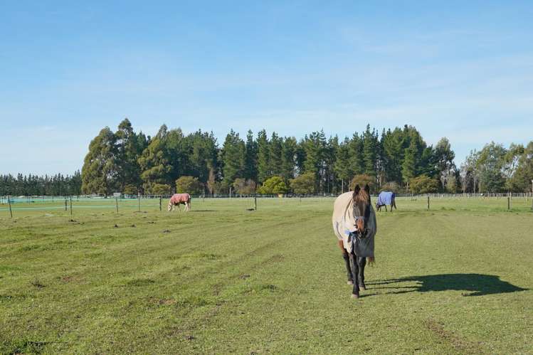 1122 Poyntzs Road West Eyreton_31