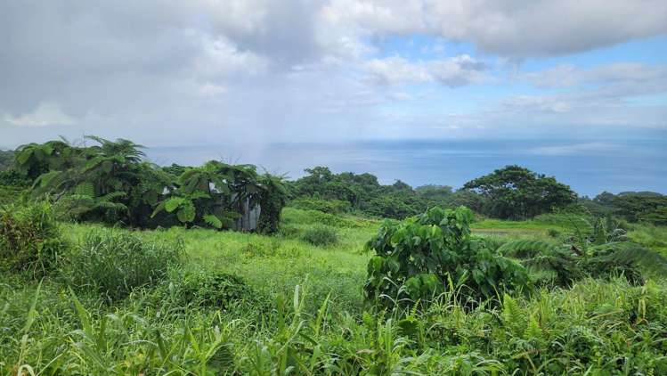 Address withheld Taveuni_19
