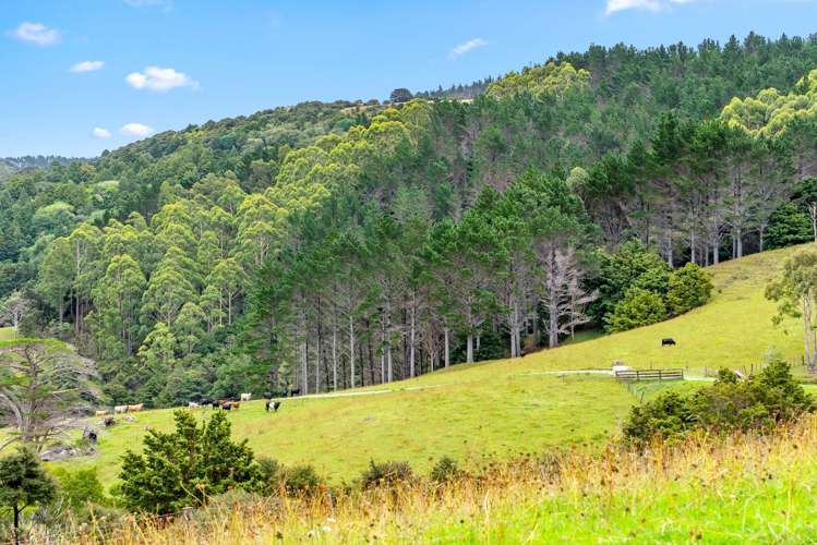 59 Ashton Road & Birdsall Road, Whangateau Leigh_15