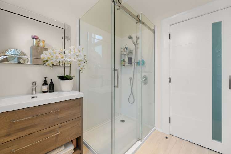 14 Embo Street Caversham_7