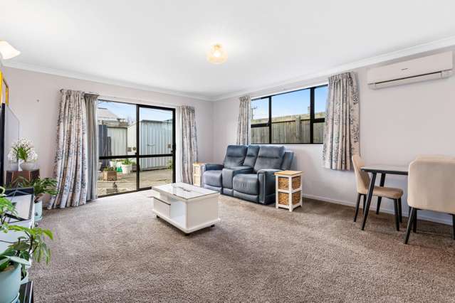 123F Macandrew Road South Dunedin_4