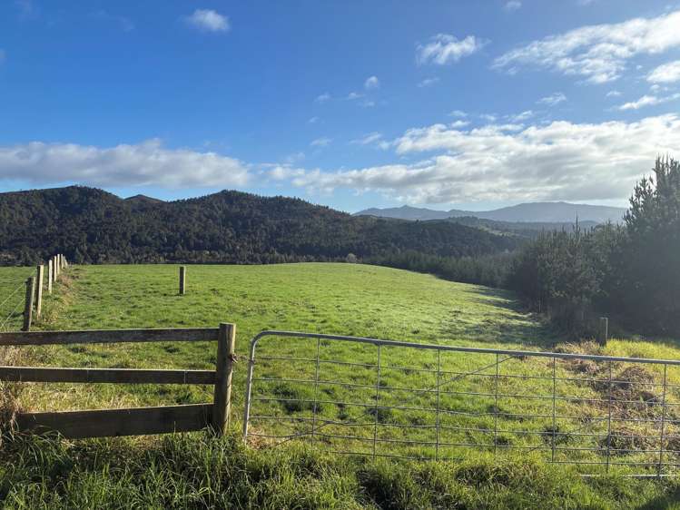 Milne Road Purua_4