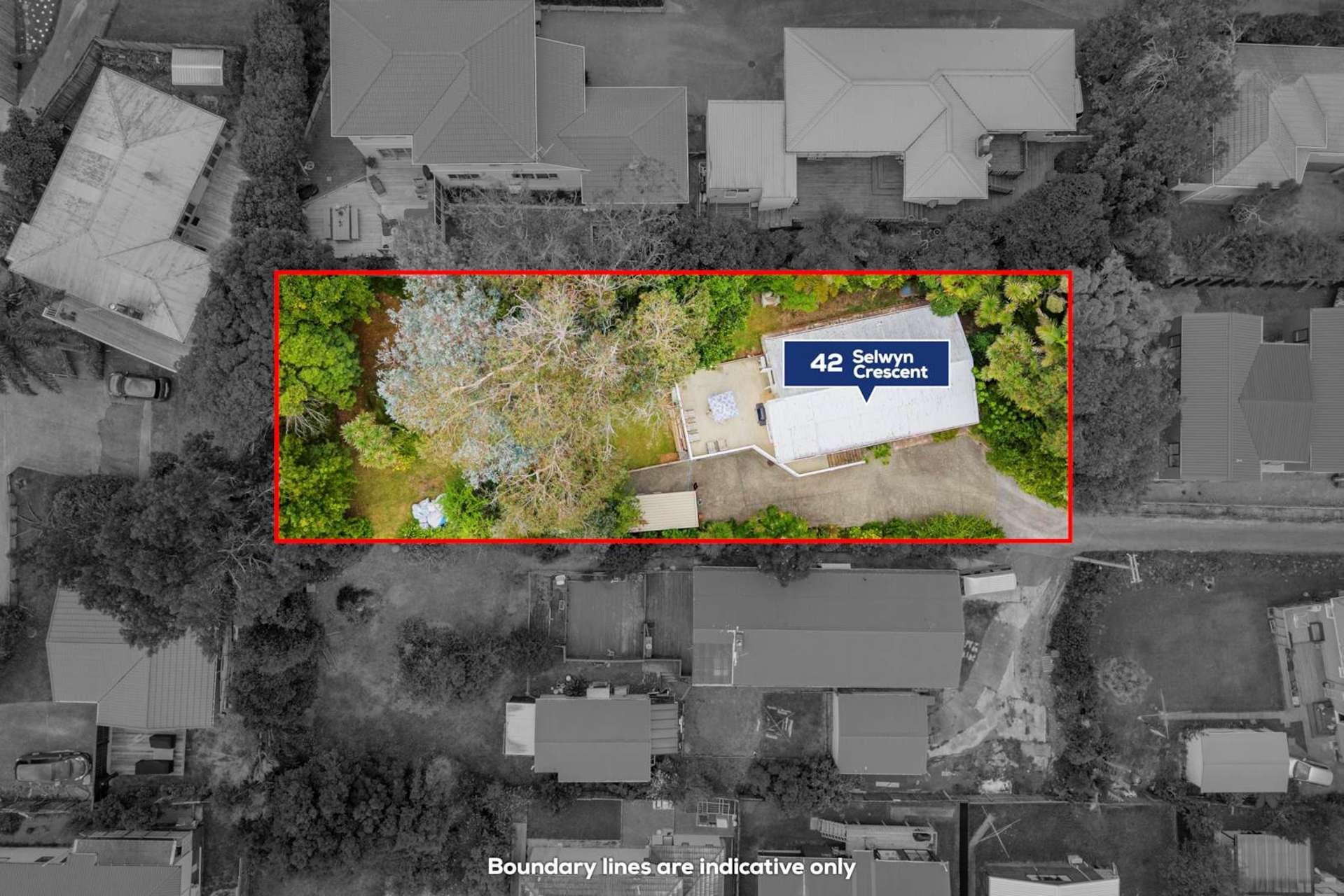 42 Selwyn Crescent Forrest Hill_0