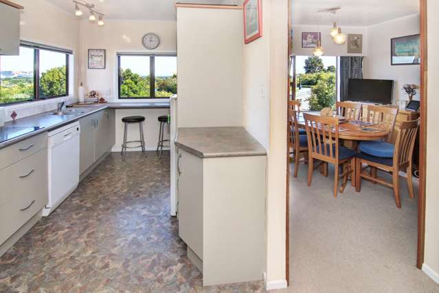 29 Puriri Crescent Lansdowne_1