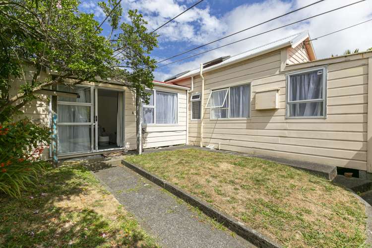 66 Elizabeth Street Mount Victoria_8