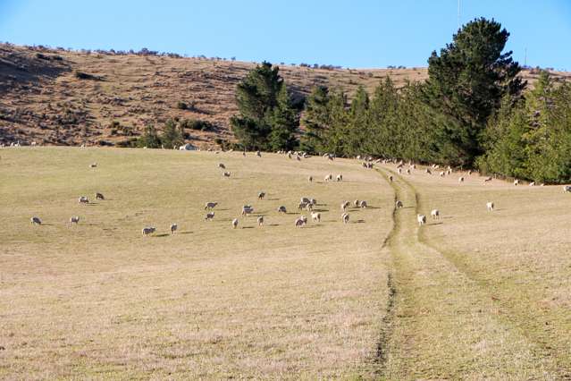 Mt Michael Valley Road Fairlie_3