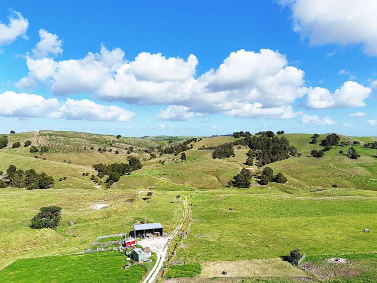 435 Parahi Road Ruawai_17
