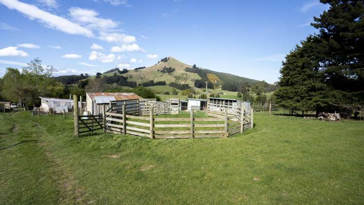 42 Falcon Street Palmerston_21