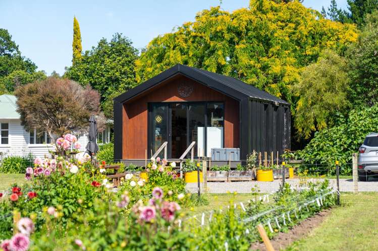 15 Havelock Road Havelock North_6