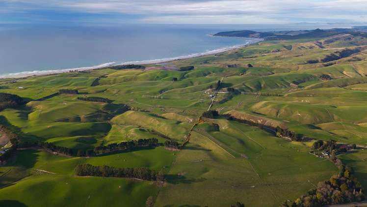 137 McLeods Road Palmerston_0