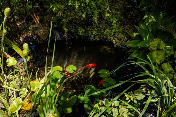 118 Wiroa Road Kerikeri_19