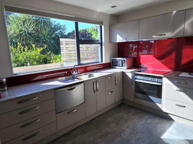 108a Buller Street Strandon_3