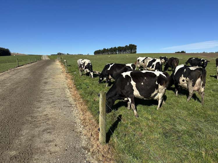 142 Endowment Road Winton Surrounds_8