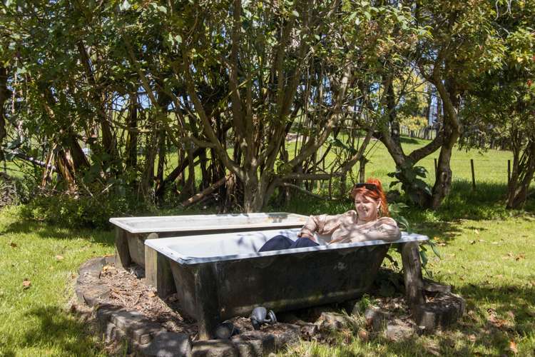 234 Walford Road Aongatete_13