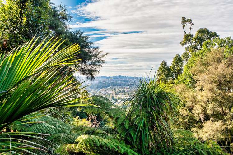 35 Park Road Titirangi_6