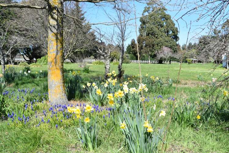 413a Lake Ferry Road Dyerville_9